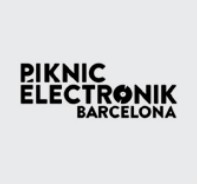 Piknic Electronic